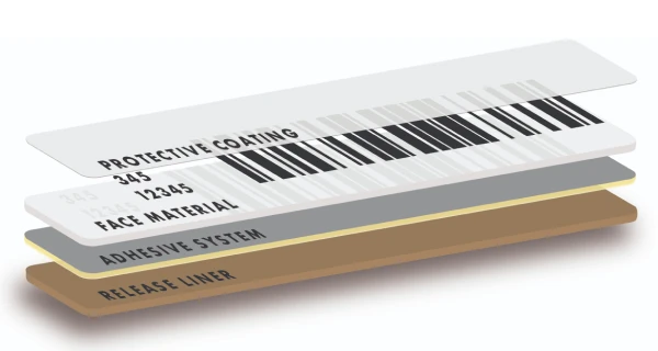 Coated label construction