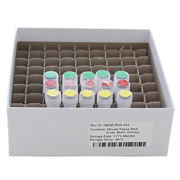 color-coded cryo box with in vivo samples