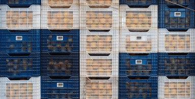 Grocery Totes_labeled