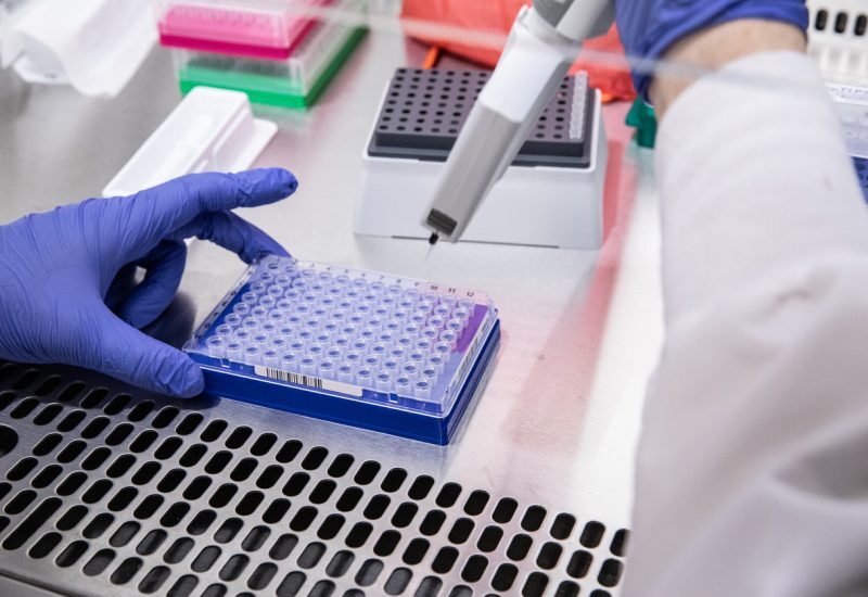 Testing protocols for virus including COVID-19 in Laboratory setting with hand
