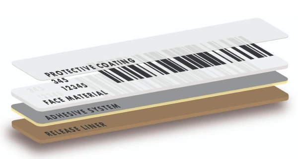 Coated label construction