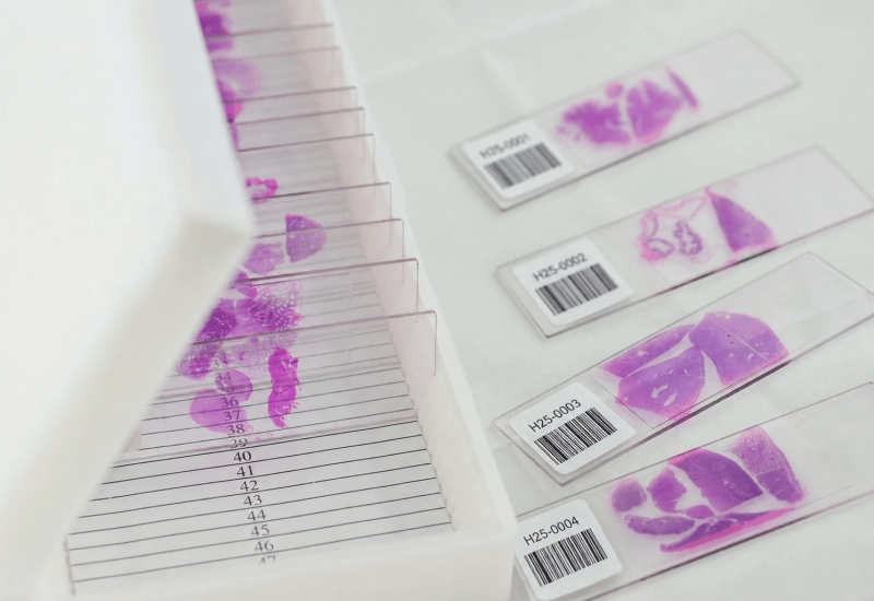 histology-barcode-labels-microscope-slides