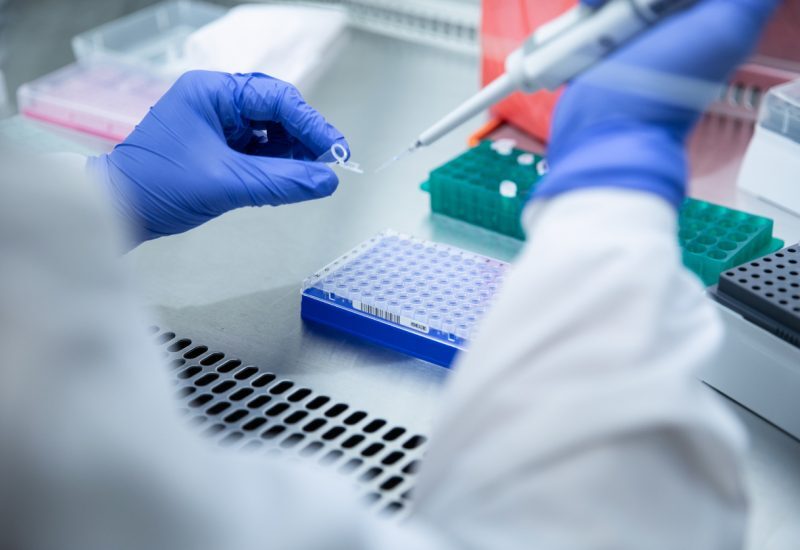 Lab wearing purple protective gloves tests for COVID Delta Variant