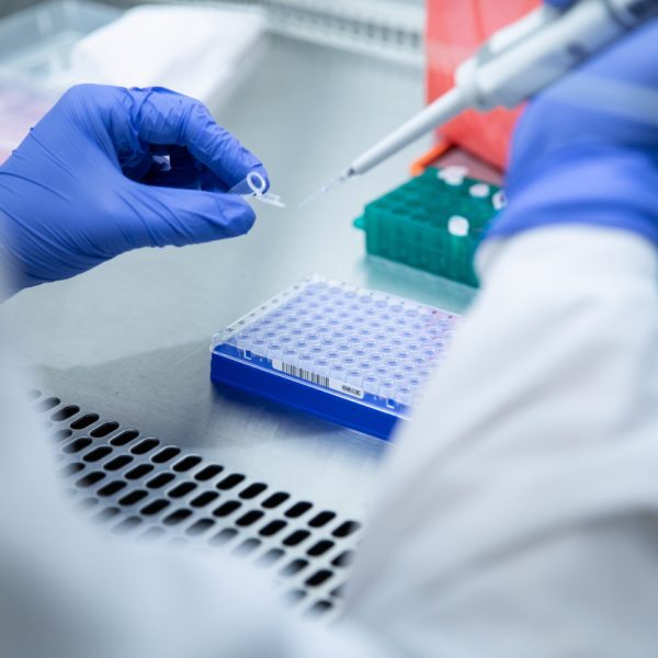 Lab wearing purple protective gloves tests for COVID Delta Variant