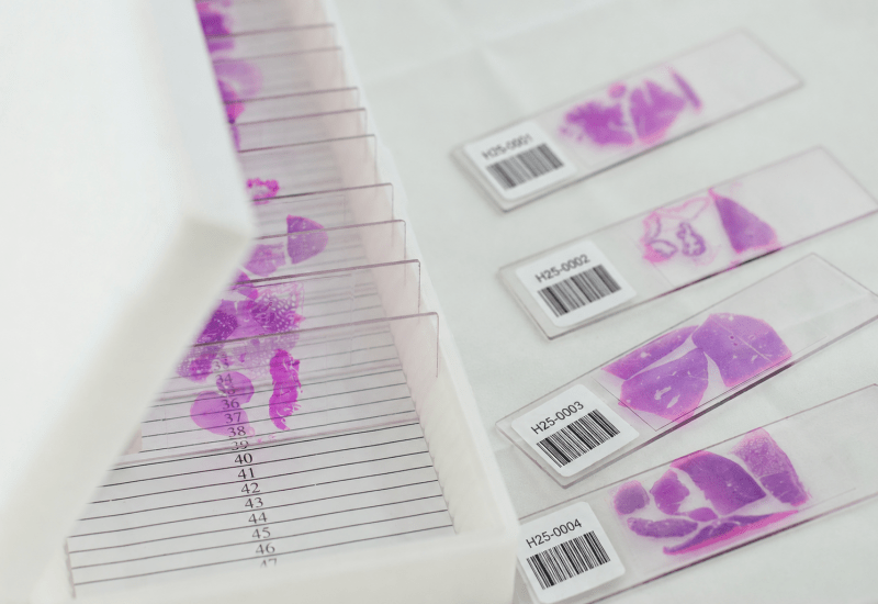 histology-barcode-labels-microscope-slides
