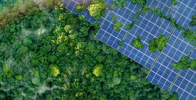 Solarpaneele im grünen Wald, sauberes alternatives Energiekonzept, nachhaltige Energie, Umwelt, Solarenergie, Generator