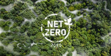 Netto-Null 2050 Klimaneutralität und Netto-Null-Konzept natürliche Umwelt Eine klimaneutrale Langzeitstrategie Treibhausgasemissionsziele Eine Nebelwolke in der grünen Netto-Null-Figur.