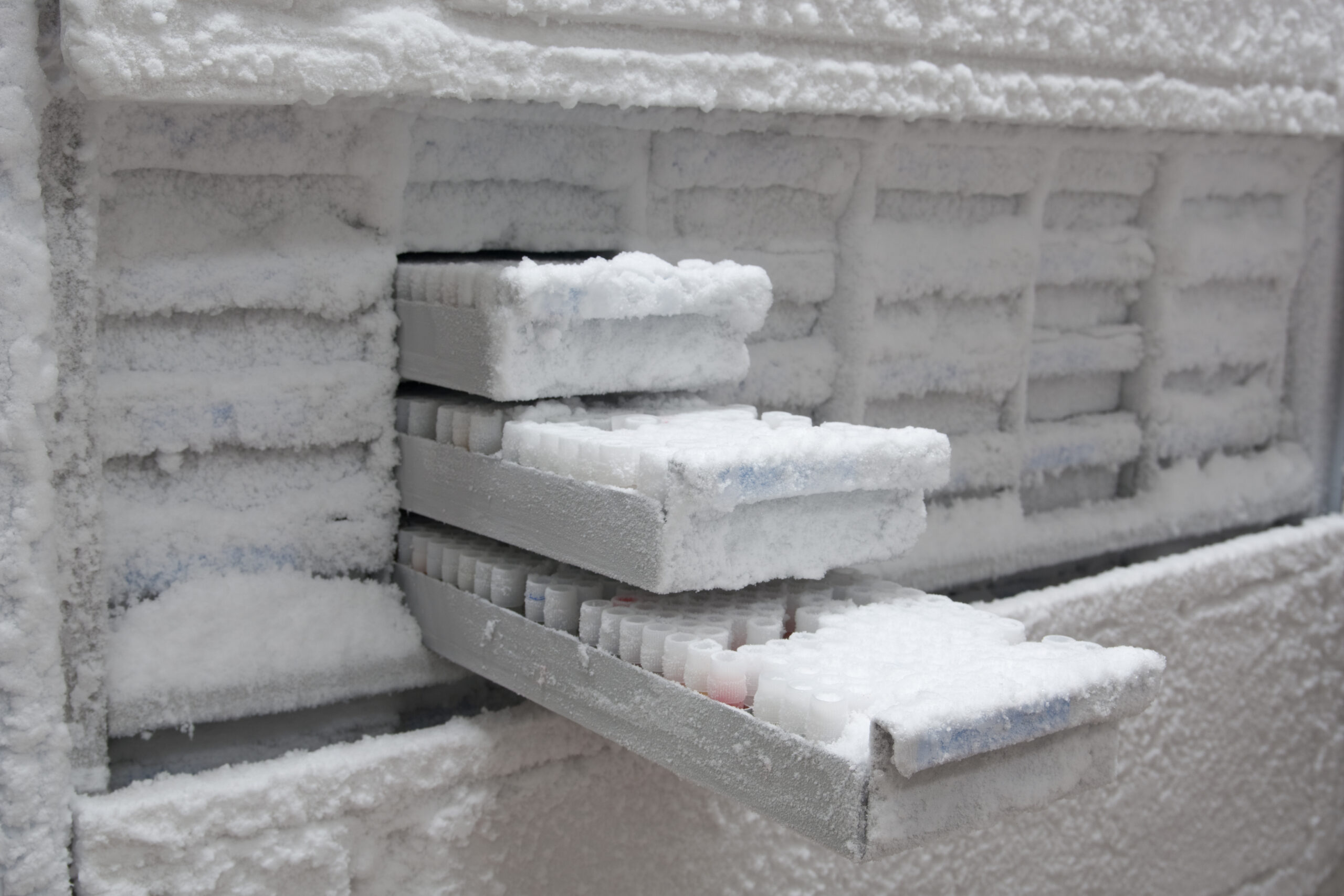 How to Prepare for Automated Laboratory Freezer Storage | Computype