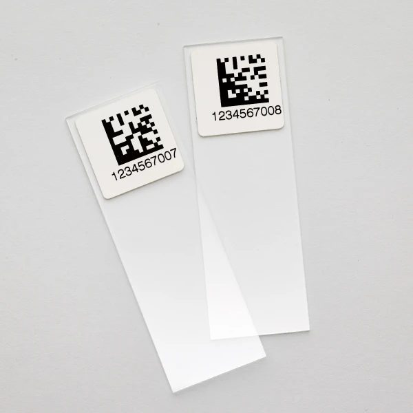 2d-labeled