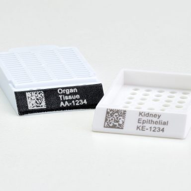 Stacked from 18 images. Method=B (R=8,S=4)