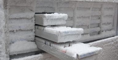 Medical samples in -80.