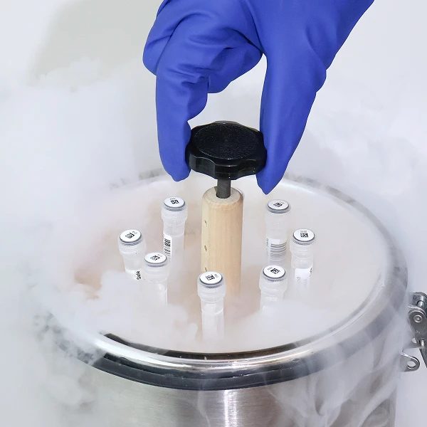 dry-ice-fog-2d-labels