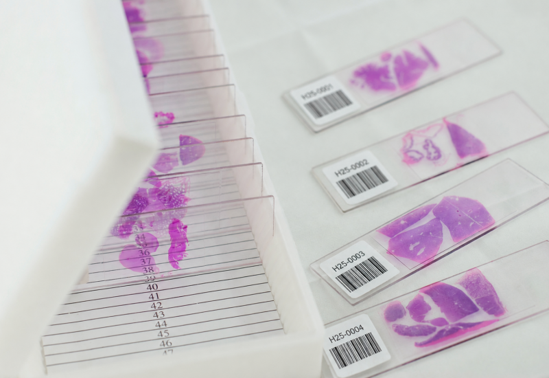 histology-barcode-labels-microscope-slides
