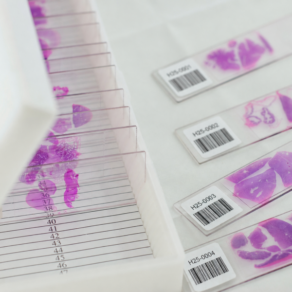 histology-barcode-labels-microscope-slides