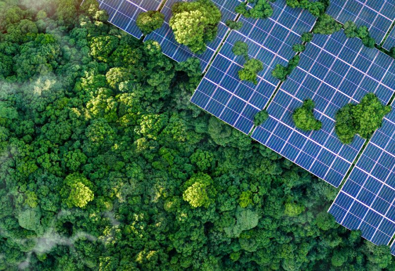 Solar panels installed in the green forest, clean alternative energy concept, sustainable energy, environment, solar power, generator