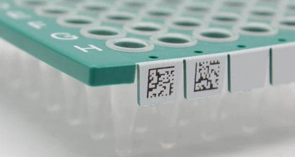 PCR-teilbare Platte