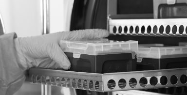 sterilizing-labware