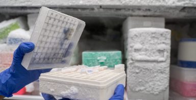 The researcher opens the storage box that keeps the sample in -80C refrigerator. To finds samples of protein used for the further experiment for biochemical laboratory.