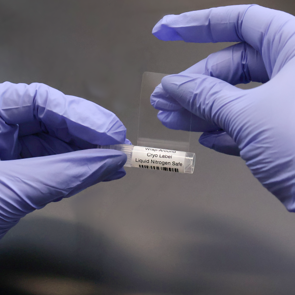 wrap-around-tube-label-application